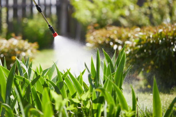 24/7 Emergency Rodent Control experts in Chattahoochee Hills, GA