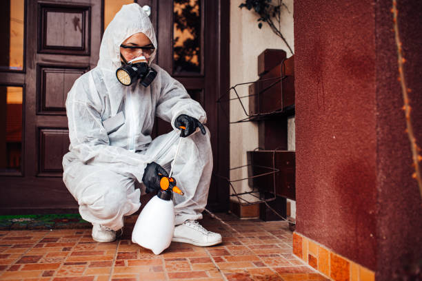 Reliable Rodent Control contractor in Chattahoochee Hills, GA by Nex Pest Control
