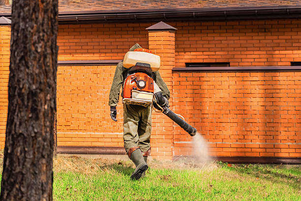 Trusted Rodent Control service in Chattahoochee Hills, GA - Nex Pest Control